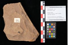 Foto (Objekt + Etikett) von Myrica lignitum Unger (NHMW-GEO-2024-0188-0556)